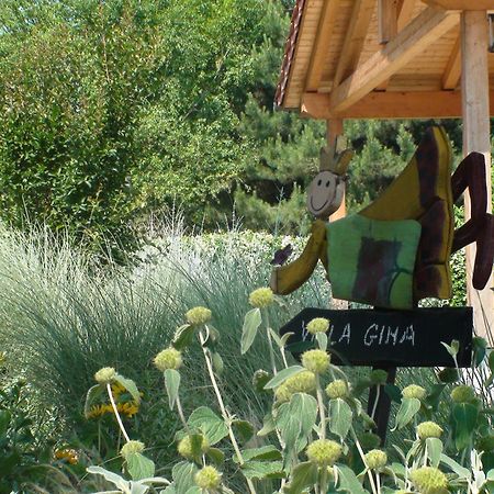 Villa Gina Zero Branco Εξωτερικό φωτογραφία